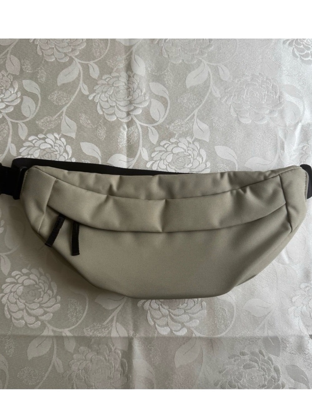 Everlane Renew Transit Fanny Pack Crossbody Bag